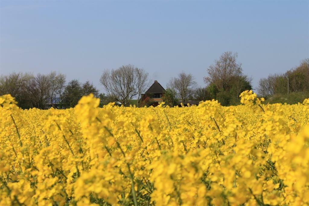 Ferienhof Am Deich Tumlauer Koog Bagian luar foto