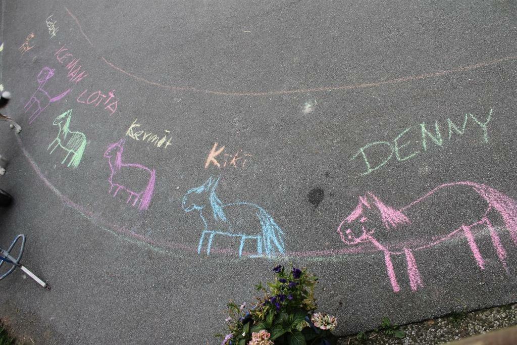 Ferienhof Am Deich Tumlauer Koog Bagian luar foto