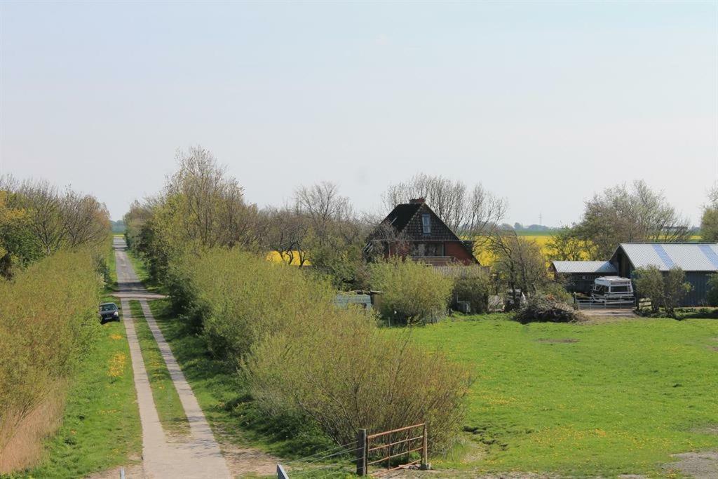 Ferienhof Am Deich Tumlauer Koog Bagian luar foto